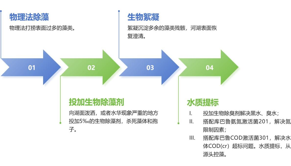 库巴鲁水华治理思路.png