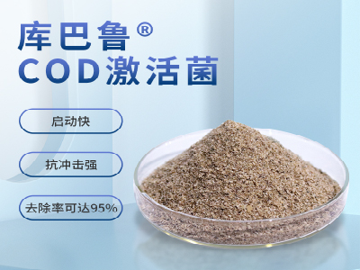 COD提标，不改变工艺，生化系统如何维稳